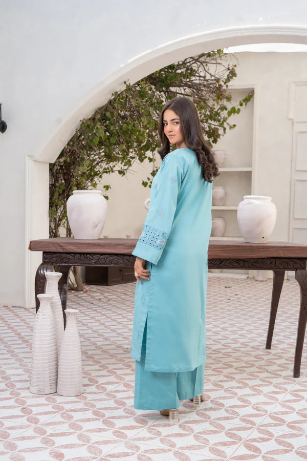 Serene Light Blue Embroidered Cotton Suit